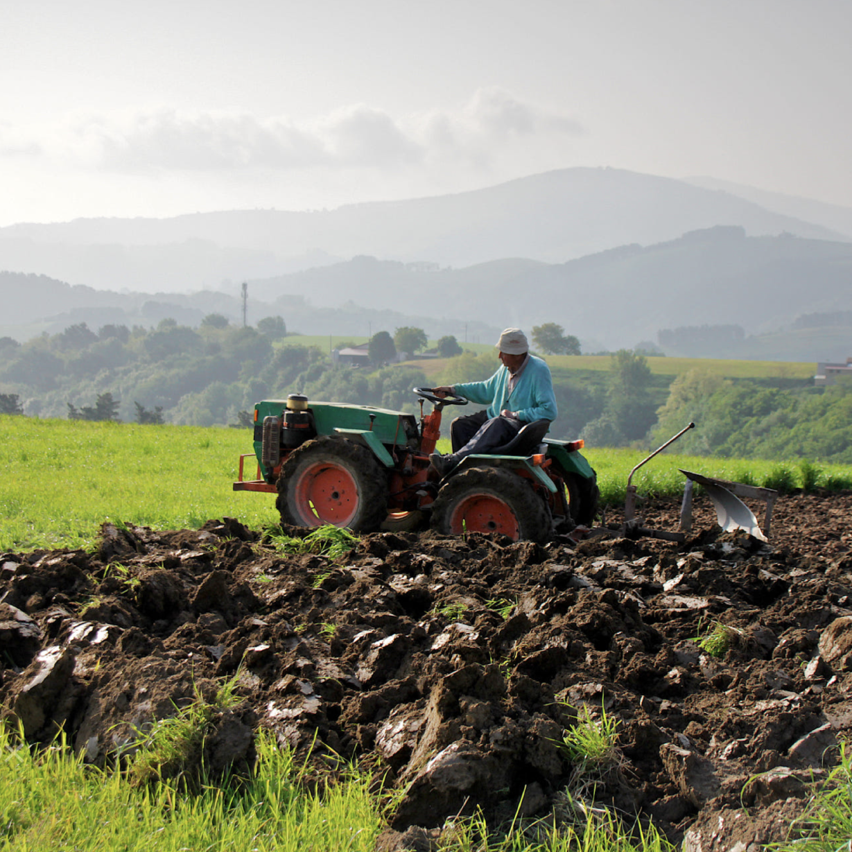 Crédito Agropecuario